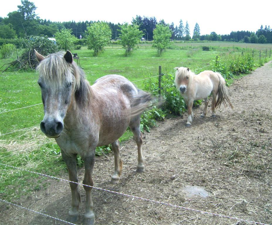 Farm Stay Heidehof Hellenthal Εξωτερικό φωτογραφία